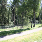 IMG_2859.JPG