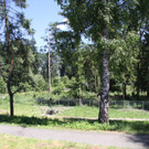 IMG_2861.JPG