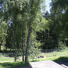IMG_2862.JPG