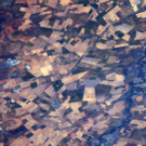 Jeff Williams S__dafrika.PNG