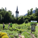 BezauGarten65.JPG
