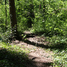 IMG_2844.JPG