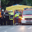 AFP_DH8AO.jpg