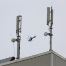 AFP_DH8IL.jpg