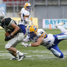 file6qpyjq6krys17ups0p3.jpg