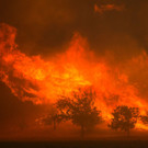Waldbrand in Kalifornien