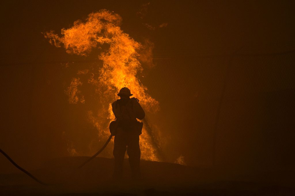 AFP_DI790.jpg