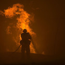 AFP_DI790.jpg