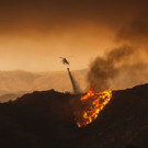 AFP_DI736.jpg