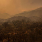 AFP_DI79G.jpg