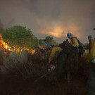 AFP_DI734.jpg