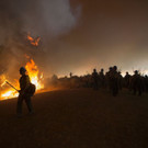 AFP_DI72X.jpg