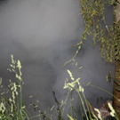 normal_22062010brandhuttrrmaktivnews01_01_20_15_.jpg