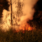 normal_22062010brandhuttrrmaktivnews01_01_20_17_.jpg