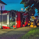 Unfall mit Holztransporter
