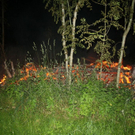 normal_22062010brandhuttrrmaktivnews01_01_20_4_.jpg