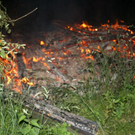 normal_22062010brandhuttrrmaktivnews01_01_20_5_.jpg