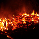 normal_22062010brandhuttrrmaktivnews01_01_20_6_.jpg