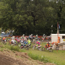IMG_1180.jpg