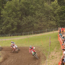 IMG_1228.jpg
