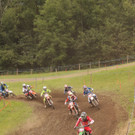 IMG_1229.jpg