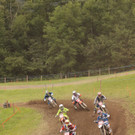 IMG_1230.jpg