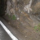 P6220060.JPG