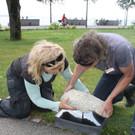 Seehotel STEINKUNST Ausstellung im Park Juli 2016 _12_.JPG