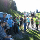 Vielfalter auf der Alp Gavar