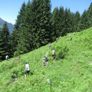 IMG_5215.JPG