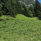 P7188714.JPG