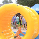 IMG_3341.jpg