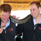 Botswana__Royal_Visit_XSR103.jpg