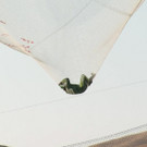 APTOPIX_Skydiving_Without_Parachute.jpg