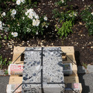 Seehotel STEINKUNST Ausstellung im Park Juli 2016 _24_.JPG