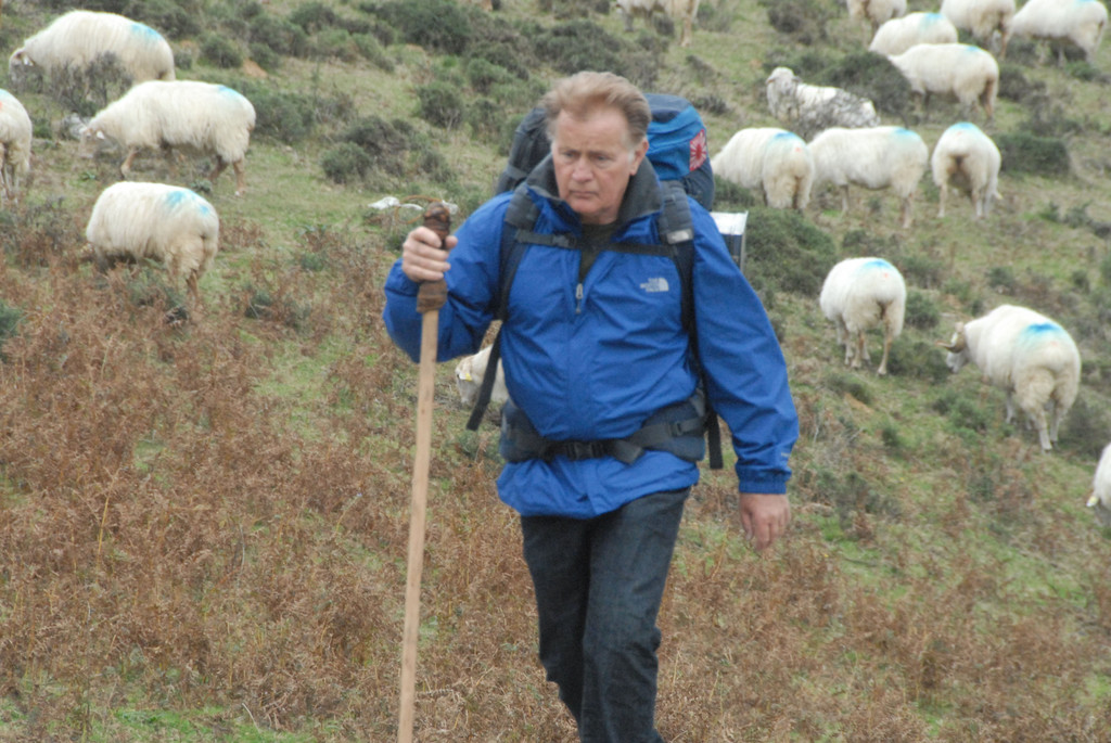 deinweg05.jpg