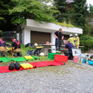 IMG_9777.JPG