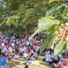 Pokemon Stadtpark - 02_08_2016-30.JPG