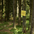 sportograf-78330827.jpg