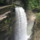 IMG_4906.jpg