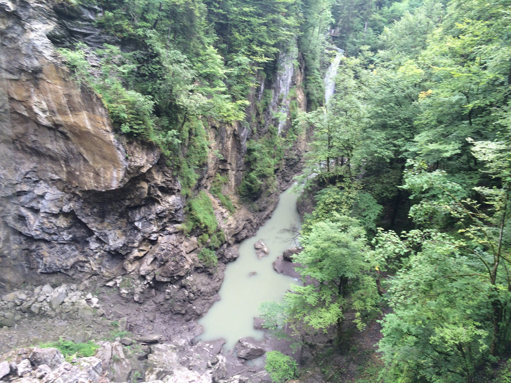 IMG_4912.jpg