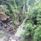 IMG_4912.jpg