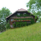 P1040539.jpg