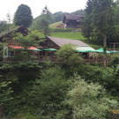 IMG_4918.jpg