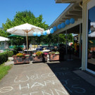 DSCF4476.jpg