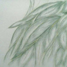 Fliegender Wald Pastell auf Papier 42x32.jpg