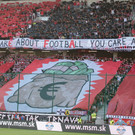 ABD0068-20160804.jpg