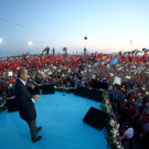 AFP_E15N2.jpg