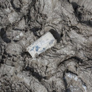 6X0C4290.jpg