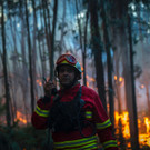 AFP_E1828.jpg